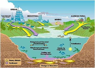 Integrated Remediation Processes Toward Heavy Metal Removal/Recovery From Various Environments-A Review